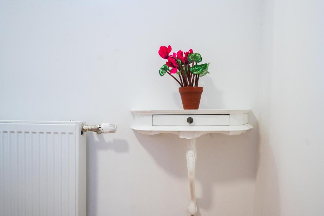 Spacious And Bright 2Bdr Apartment In The Old Town 사라예보 외부 사진